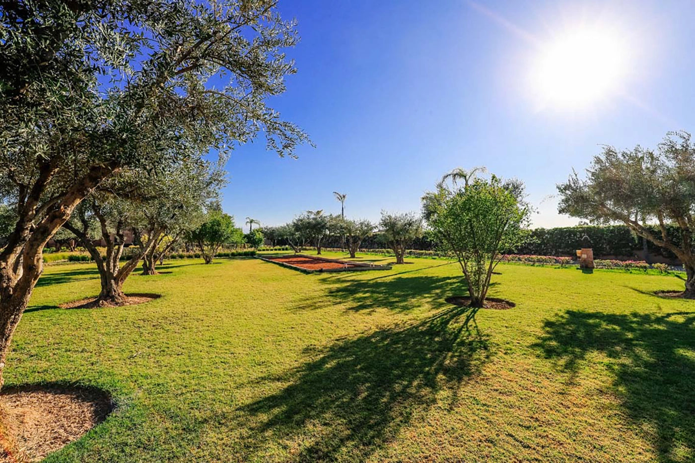 Villa Akhdar 18 – 3BR Palm Oasis with Heated Pool & Shared Domain Amenities