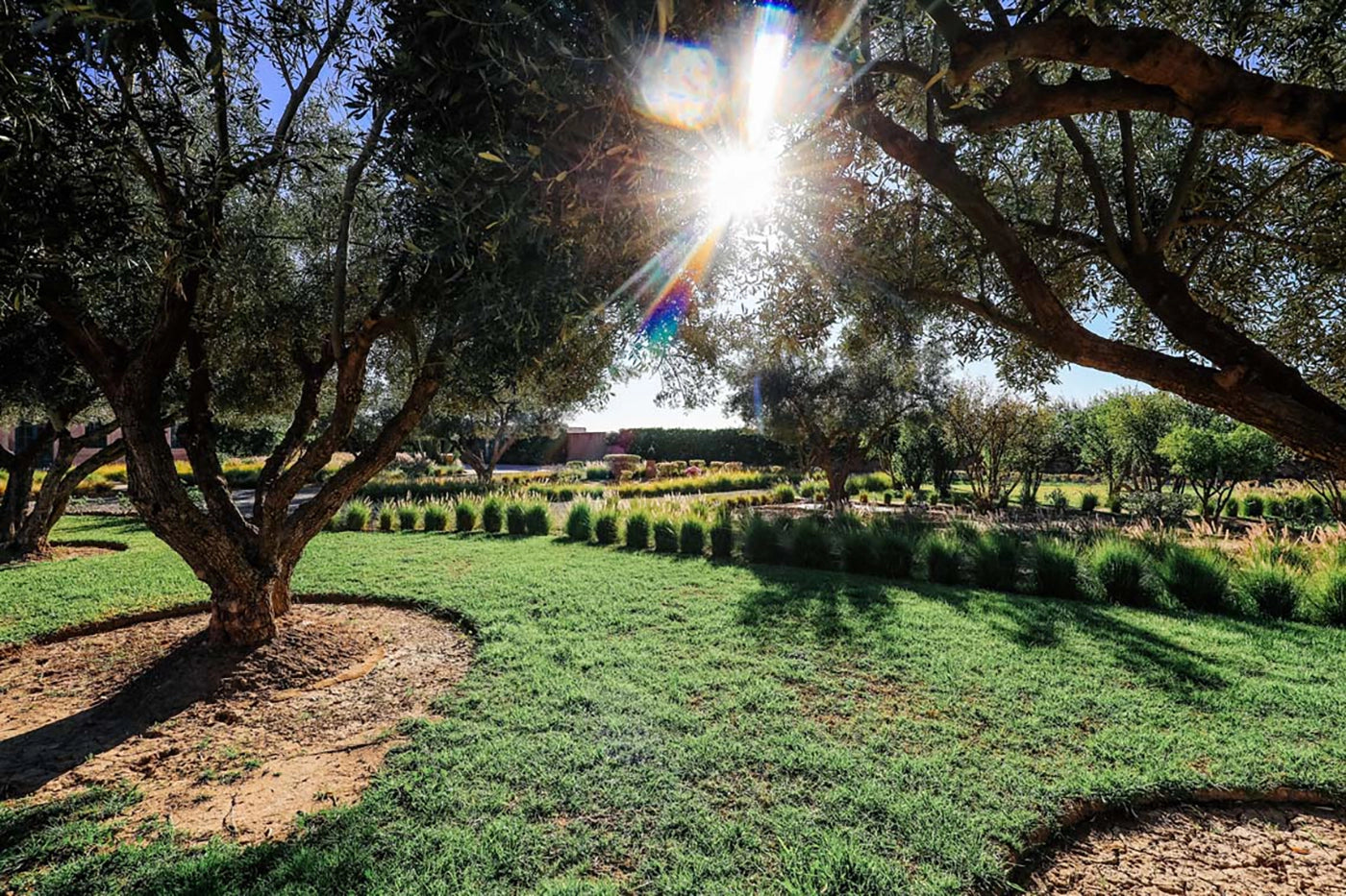 Villa Akhdar 18 – 3BR Palm Oasis with Heated Pool & Shared Domain Amenities