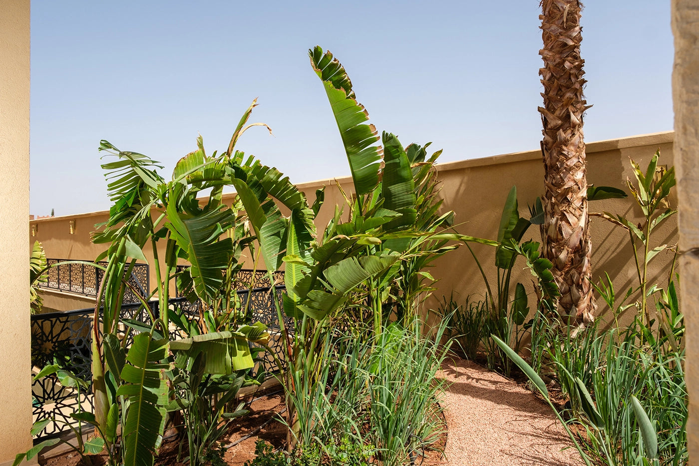 Villa Eyline – Luxury Spa Villa in Marrakech