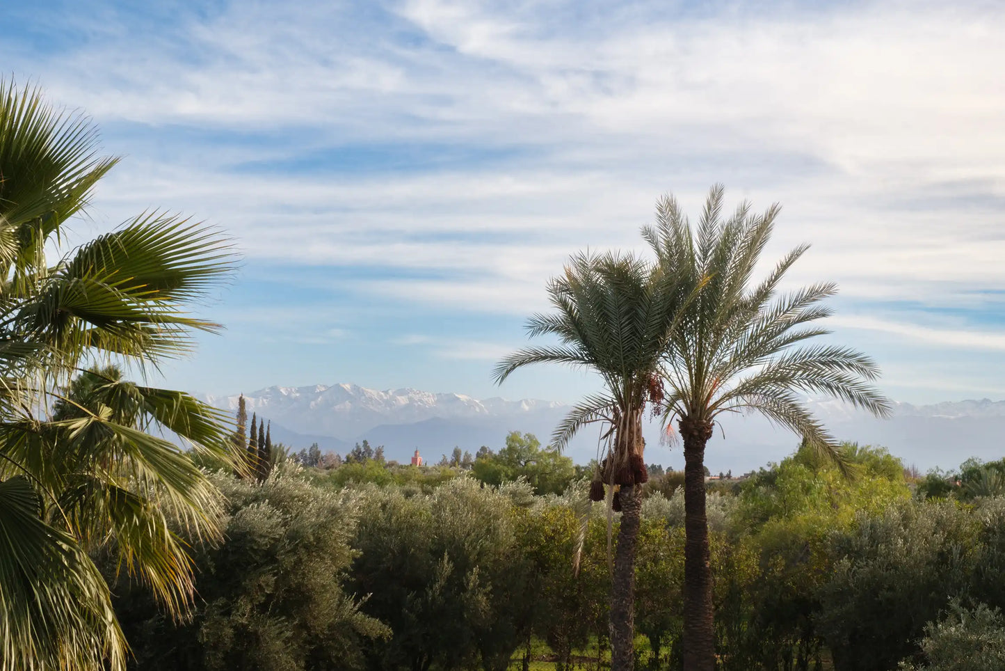 Villa Grace – Refined Luxury in Marrakech