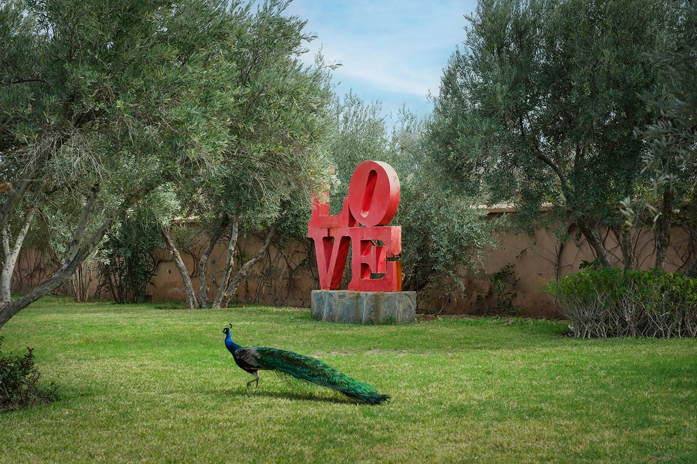Villa Le Clos des Oliviers – 12BR Marrakech Estate with Infinity Rooftop Pool