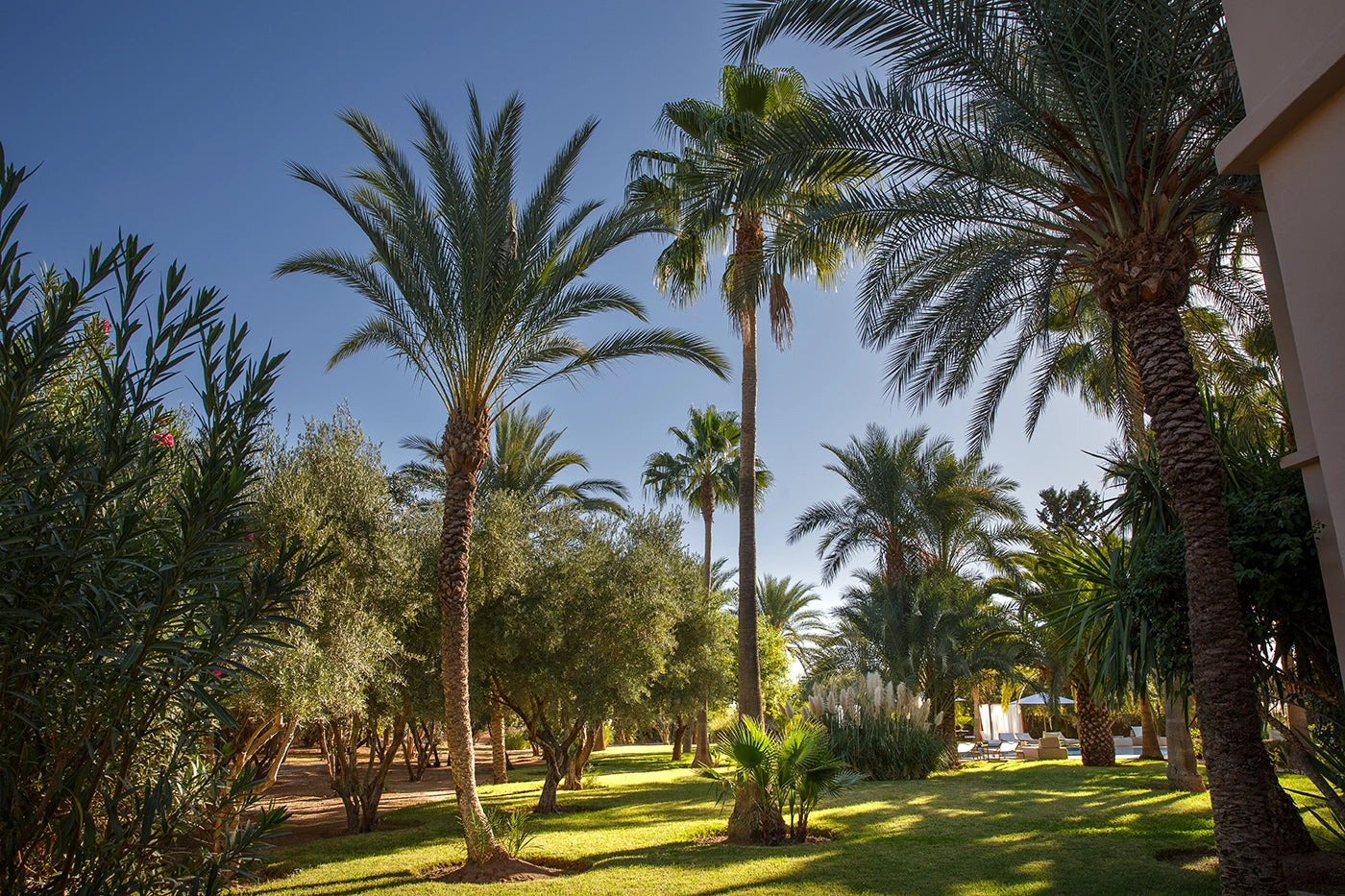 Villa Maggy Rose – 8BR Marrakech Villa with Heated Pool & Event Gardens