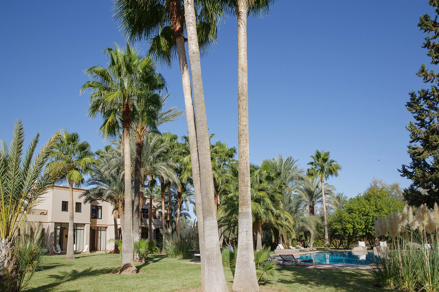 Villa Maggy Rose – 8BR Marrakech Villa with Heated Pool & Event Gardens