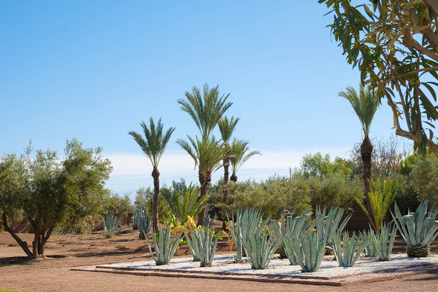 Villa Majdou – 5BR Art Deco Villa in Marrakech with Heated Pool