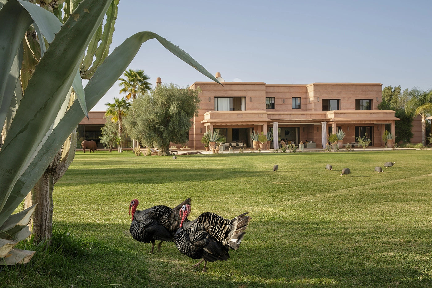 Villa Mish-Mish – 7BR Palmeraie Estate with Indoor Pool, Spa & Cinema
