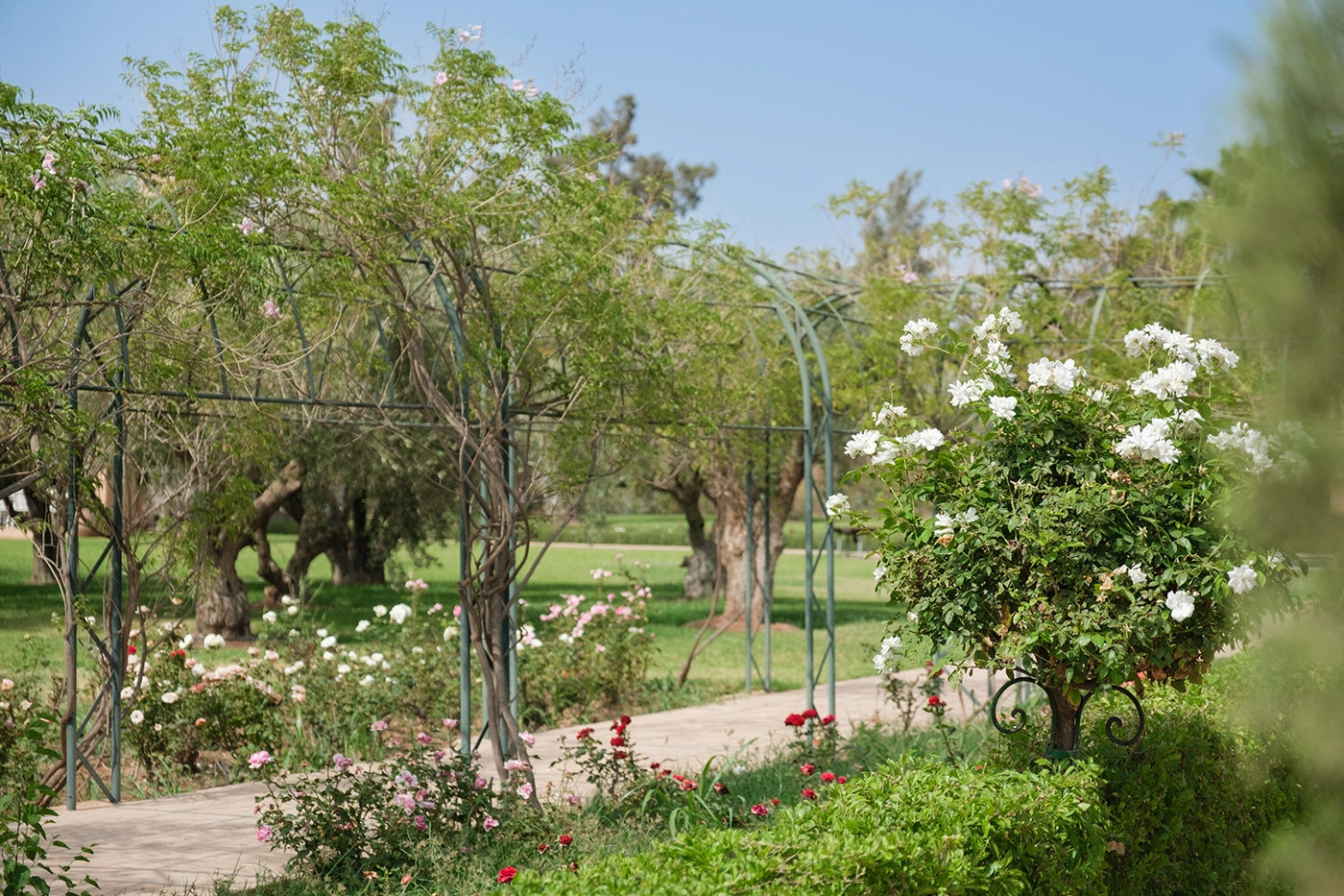 Villa Tamari – 7BR Marrakech Estate with Heated Pool & Hammam
