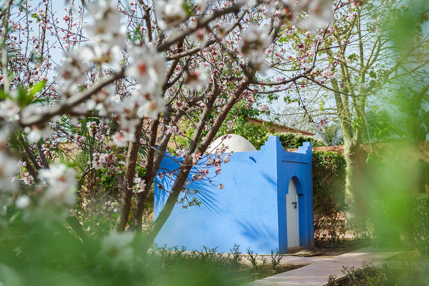 Villa Tifernine 9 – 9BR Marrakech Estate with Pool, Hammam & Tennis