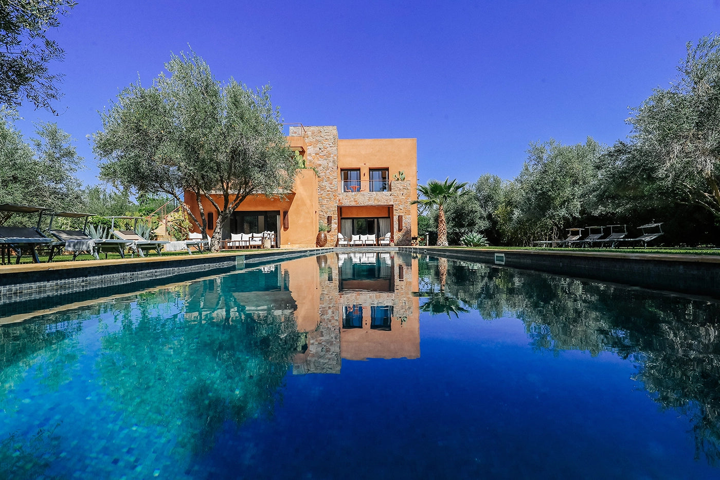 Villa Zitouna – 5BR Olive Grove Villa with Heated Pool & Rooftop