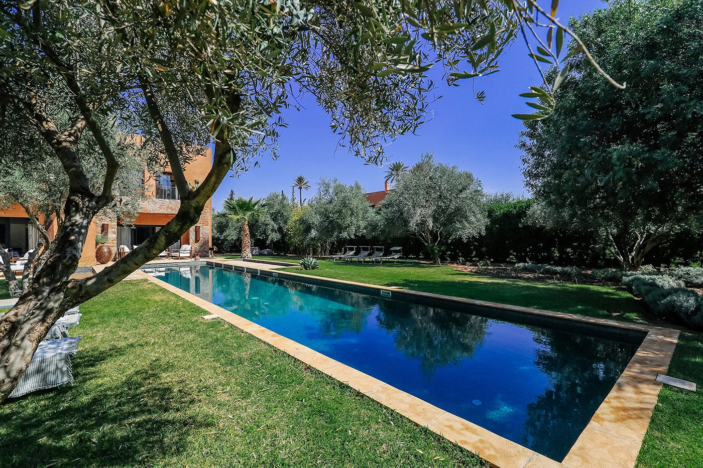 Villa Zitouna – 5BR Olive Grove Villa with Heated Pool & Rooftop
