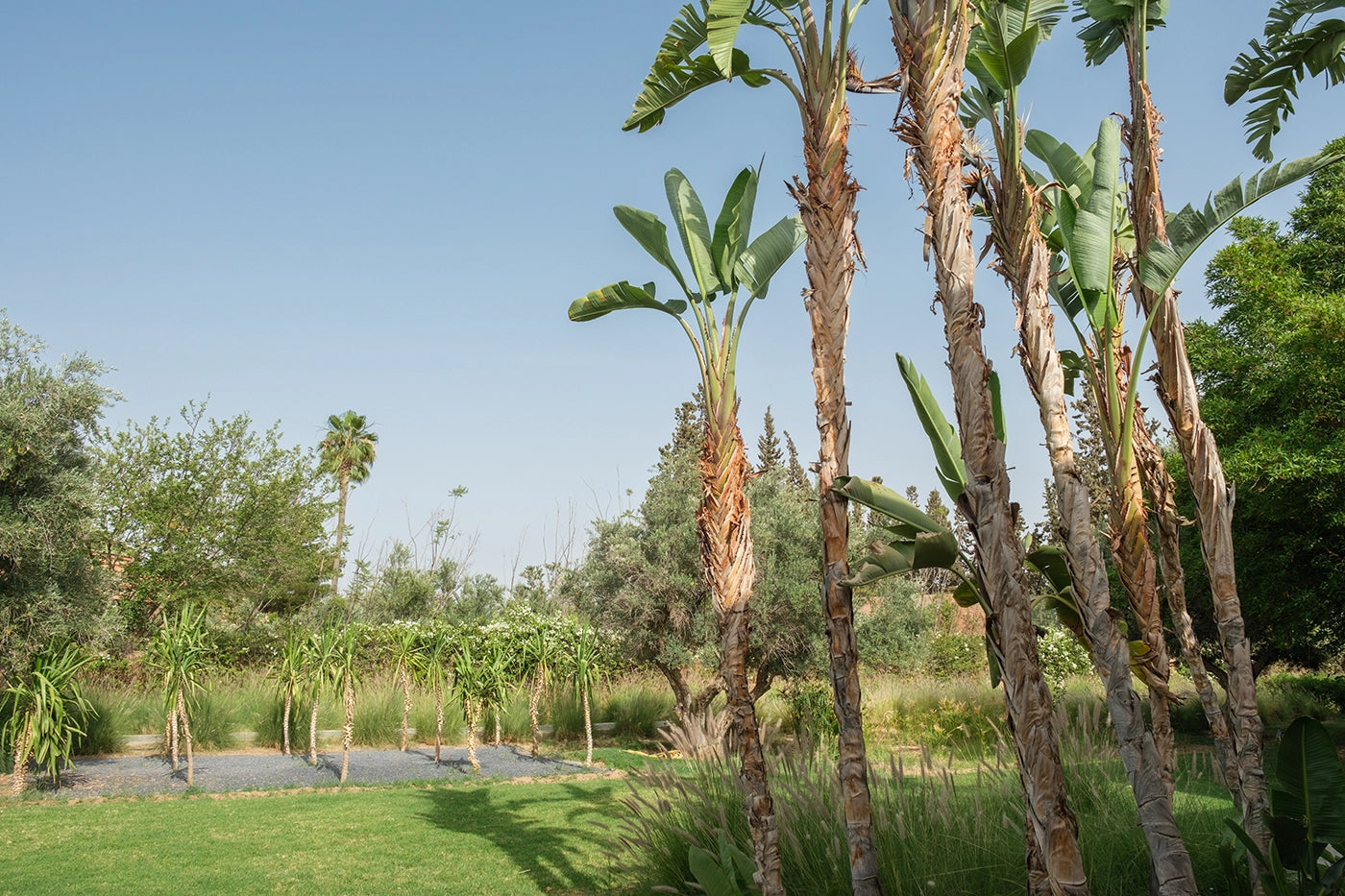 Villa Adnaa - 7 Bedroom  - 14 Pax