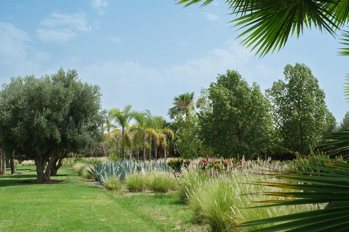 Villa Adnaa - 7 Bedroom  - 14 Pax