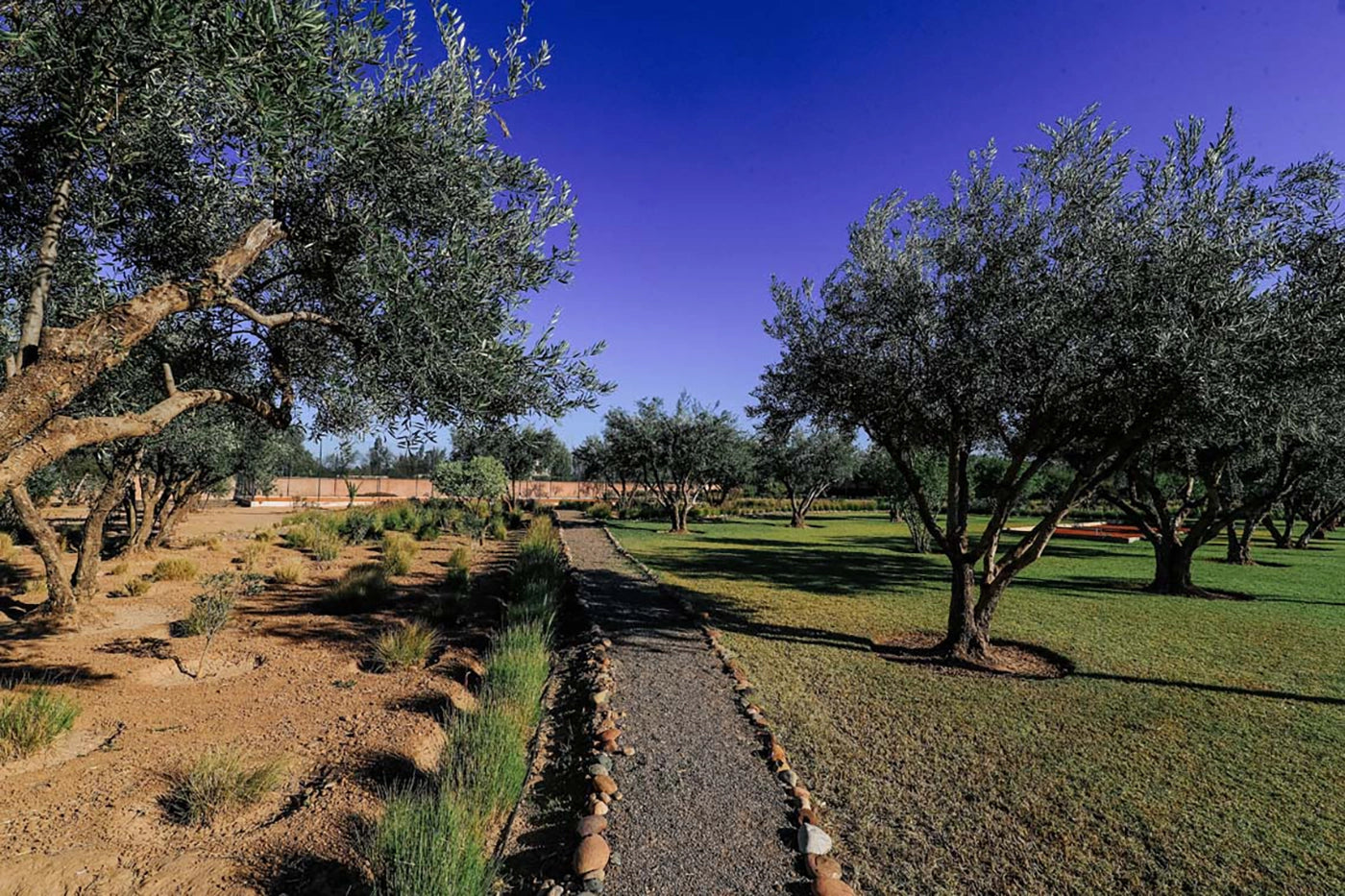 Villa Akhdar 18 – 3BR Palm Oasis with Heated Pool & Shared Domain Amenities