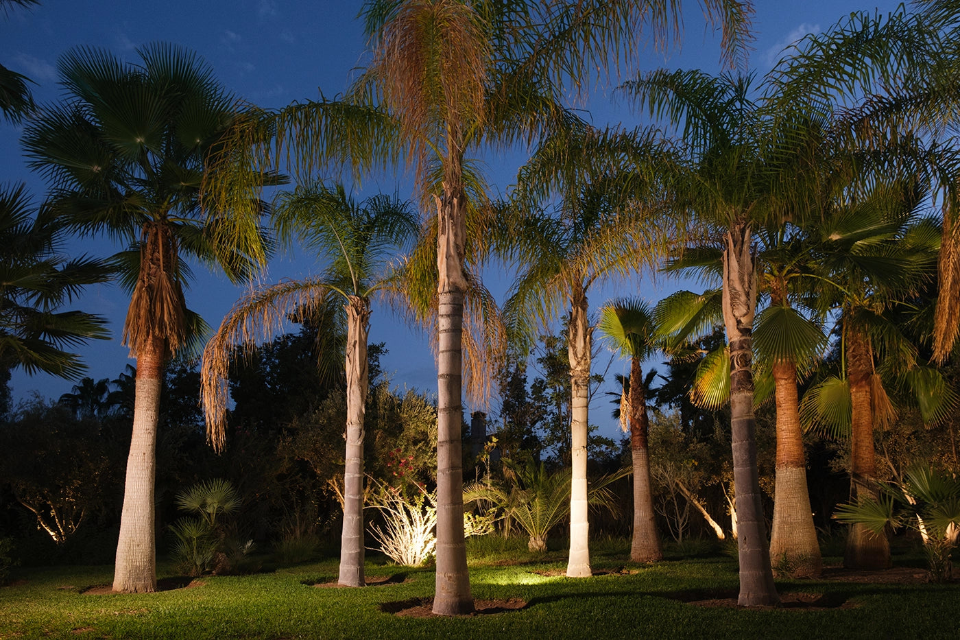 Villa Ania – 8BR Palmeraie Villa with Heated Pool & Private Gym