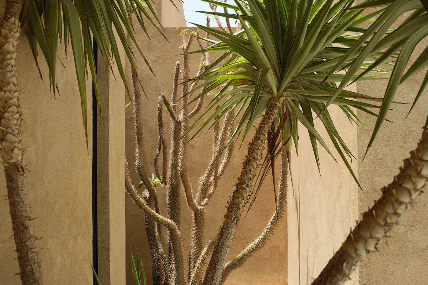 Villa Belya – 6BR Modern Moroccan Villa with Rooftop & Mosaic Pool