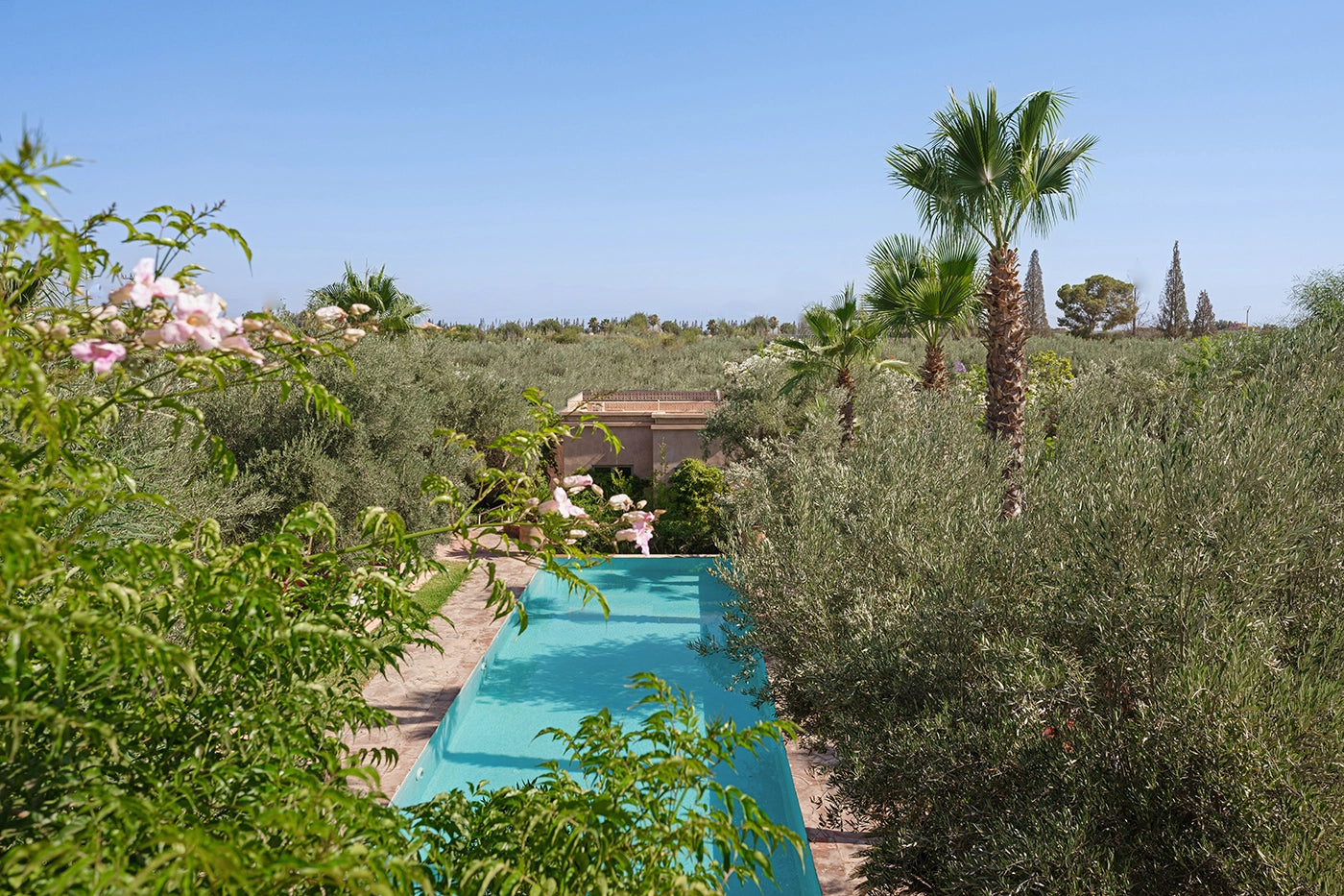 Villa Le Clos des Oliviers – 12BR Marrakech Estate with Infinity Rooftop Pool