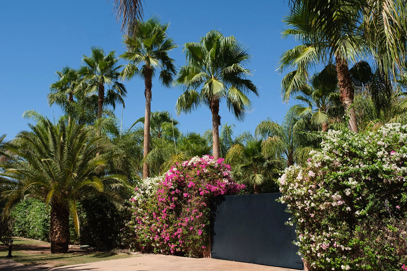 Villa Mexance – 8BR Marrakech Estate with Heated Pool & Hammam