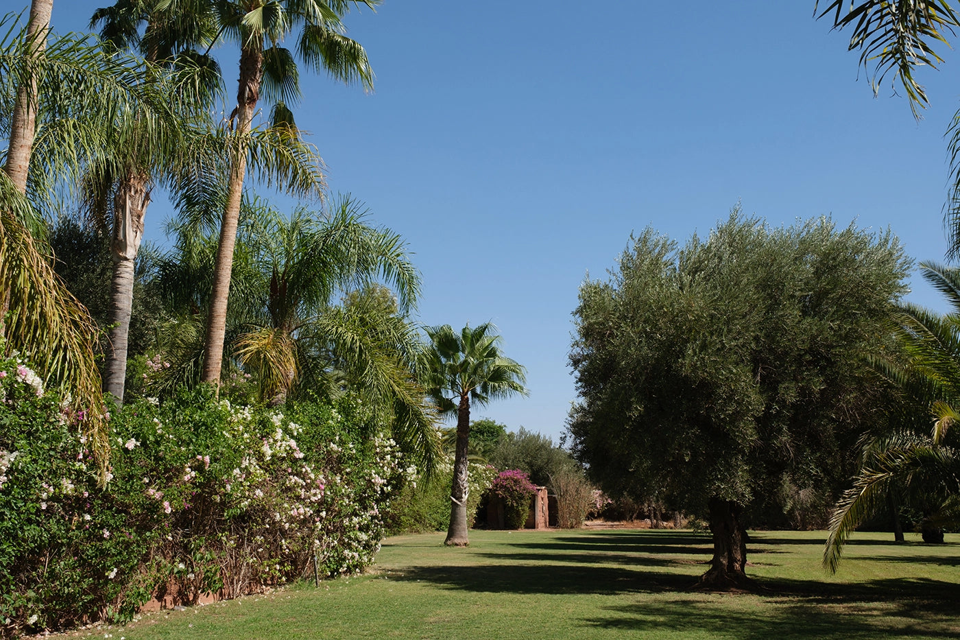 Villa Mexance – 8BR Marrakech Estate with Heated Pool & Hammam