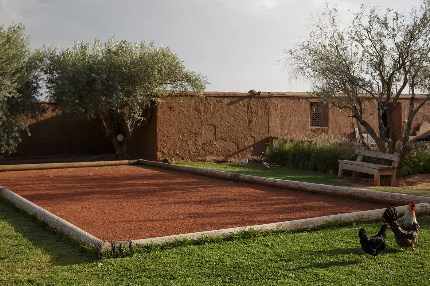 Villa Mish-Mish – 7BR Palmeraie Estate with Indoor Pool, Spa & Cinema