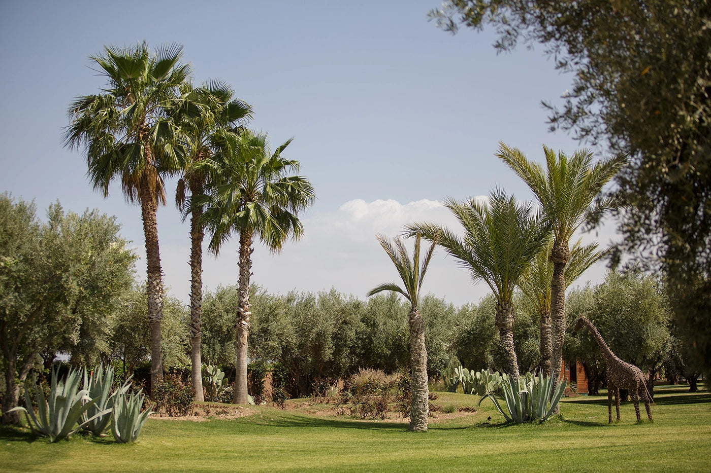 Villa Mish-Mish – 7BR Palmeraie Estate with Indoor Pool, Spa & Cinema