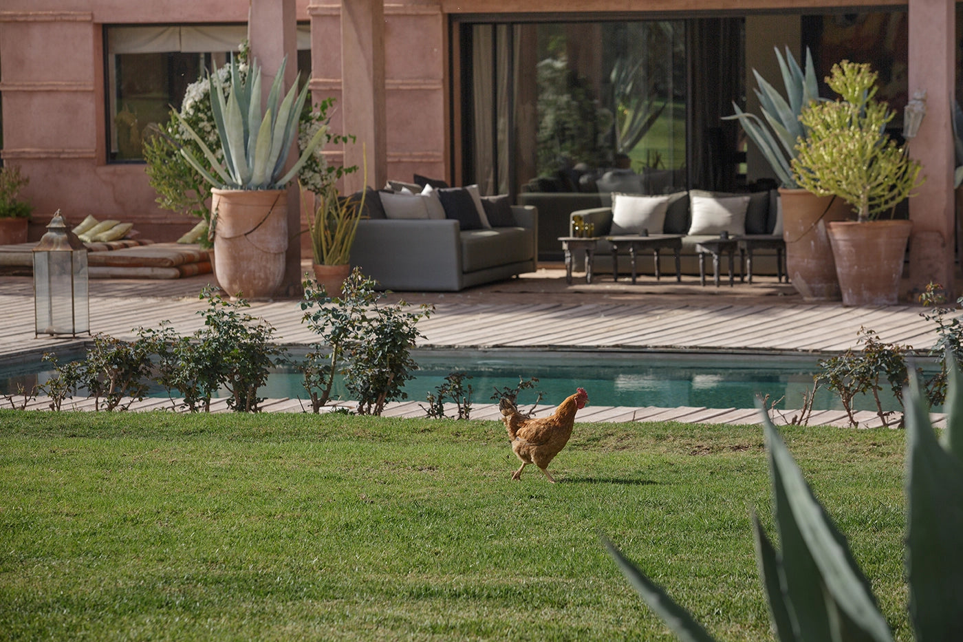 Villa Mish-Mish – 7BR Palmeraie Estate with Indoor Pool, Spa & Cinema