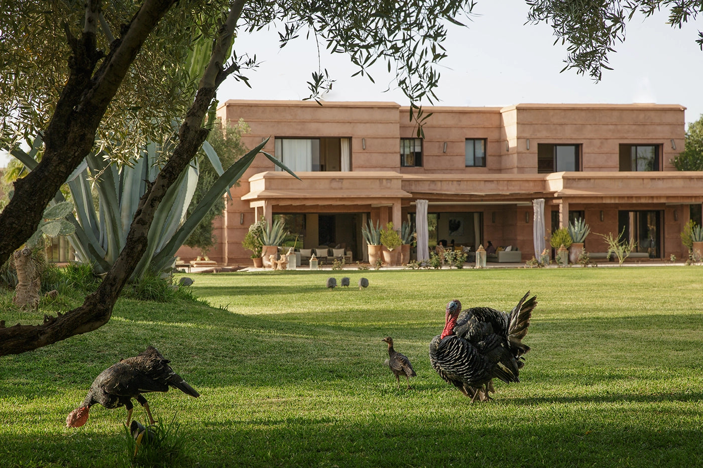 Villa Mish-Mish – 7BR Palmeraie Estate with Indoor Pool, Spa & Cinema