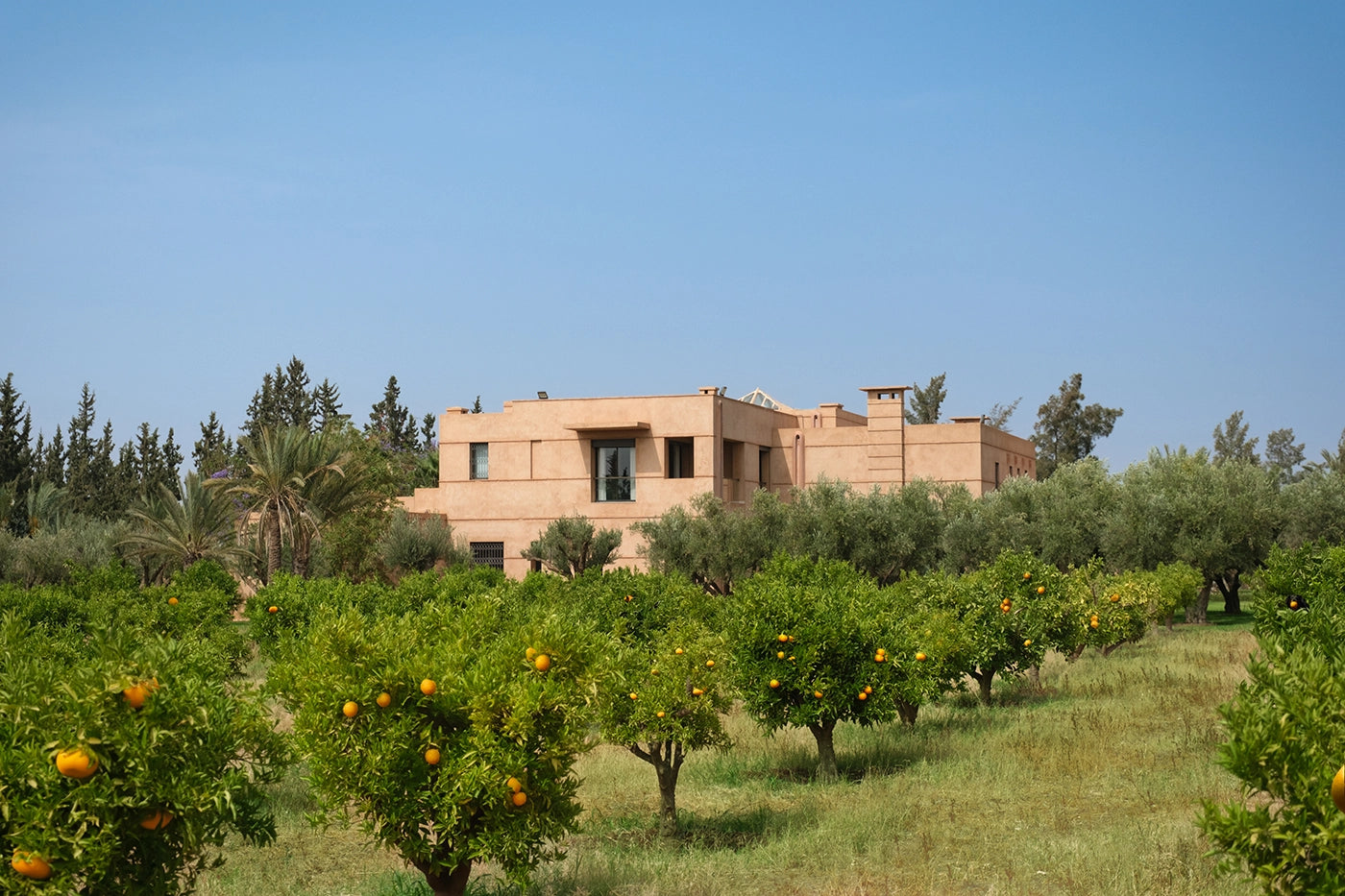 Villa Tamari – 7BR Marrakech Estate with Heated Pool & Hammam