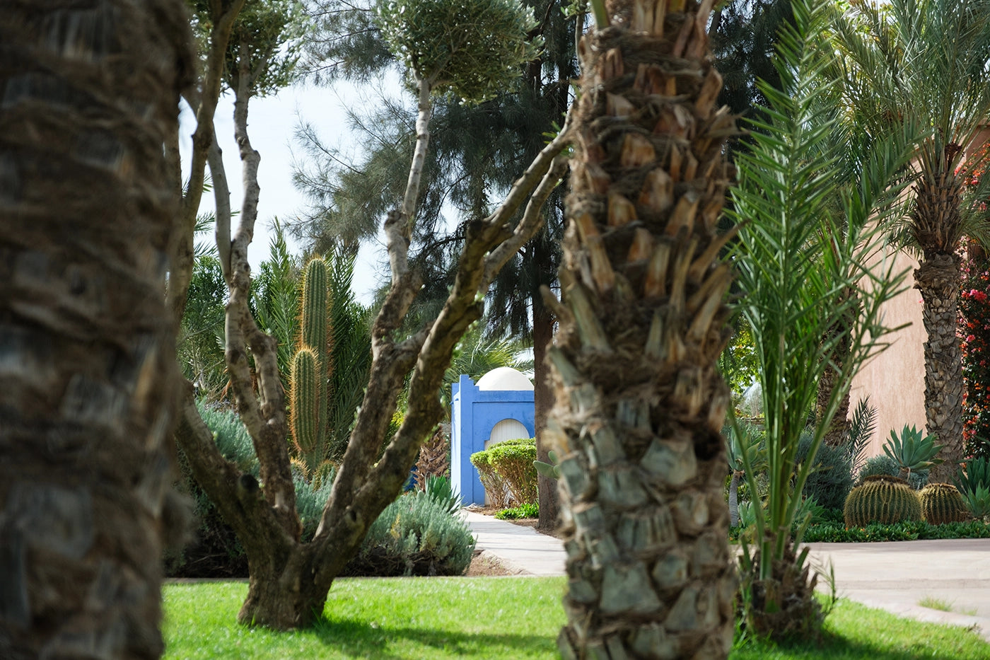 Villa Tifernine 9 – 9BR Marrakech Estate with Pool, Hammam & Tennis