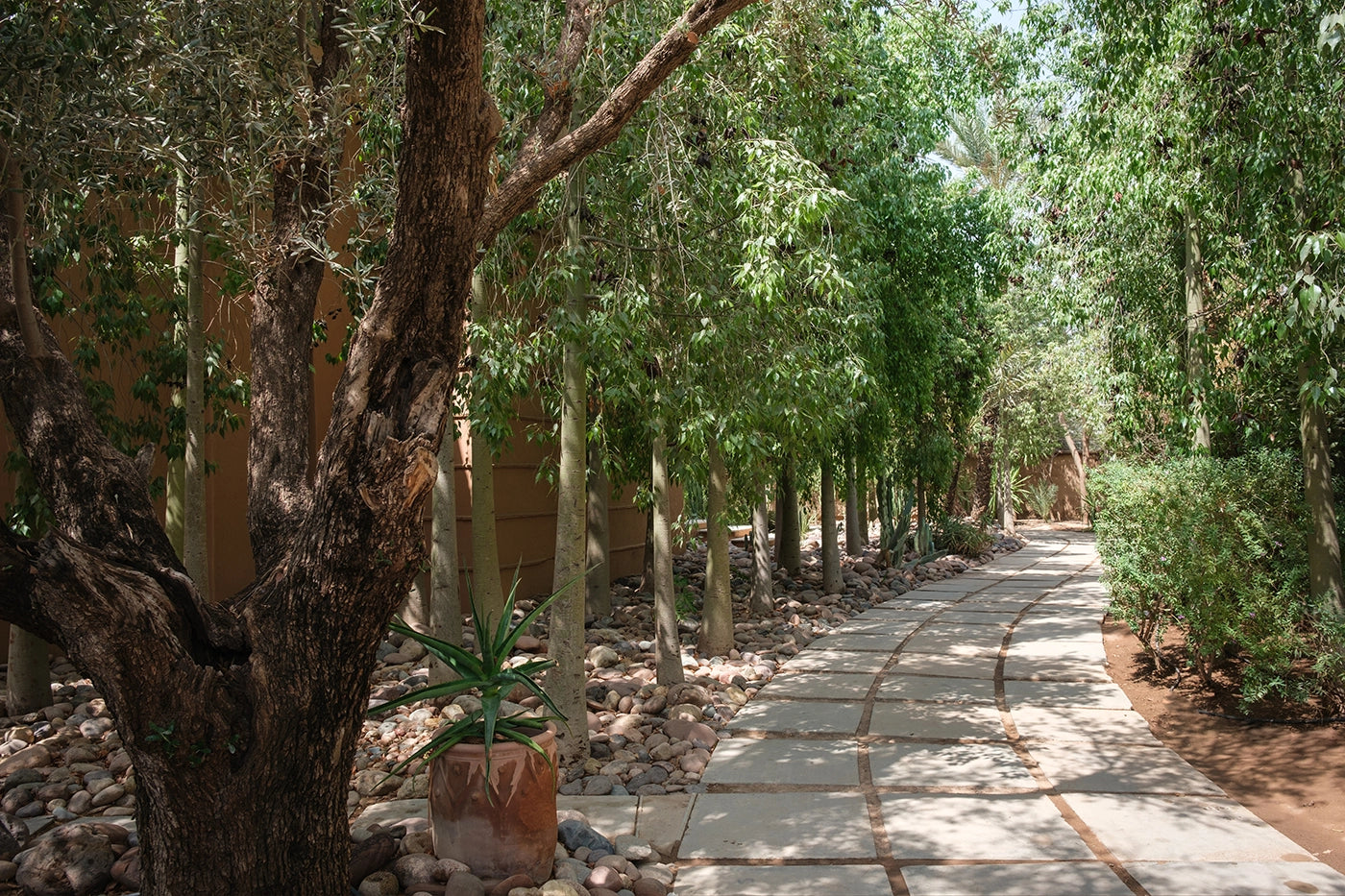 Villa Yenmoz – 4BR Marrakech Palmeraie Villa with Heated Pool & Rooftop