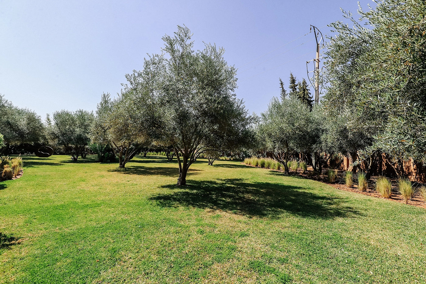 Villa Zitouna – 5BR Olive Grove Villa with Heated Pool &amp; Rooftop